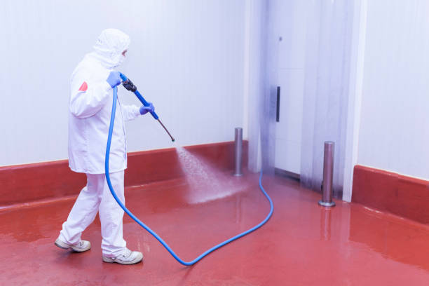 Best Pre-Holiday Cleaning  in Benavides, TX