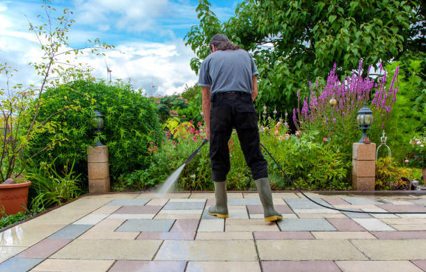 Best Driveway Pressure Washing  in Benavides, TX