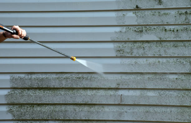Best Sidewalk and Walkway Cleaning  in Benavides, TX